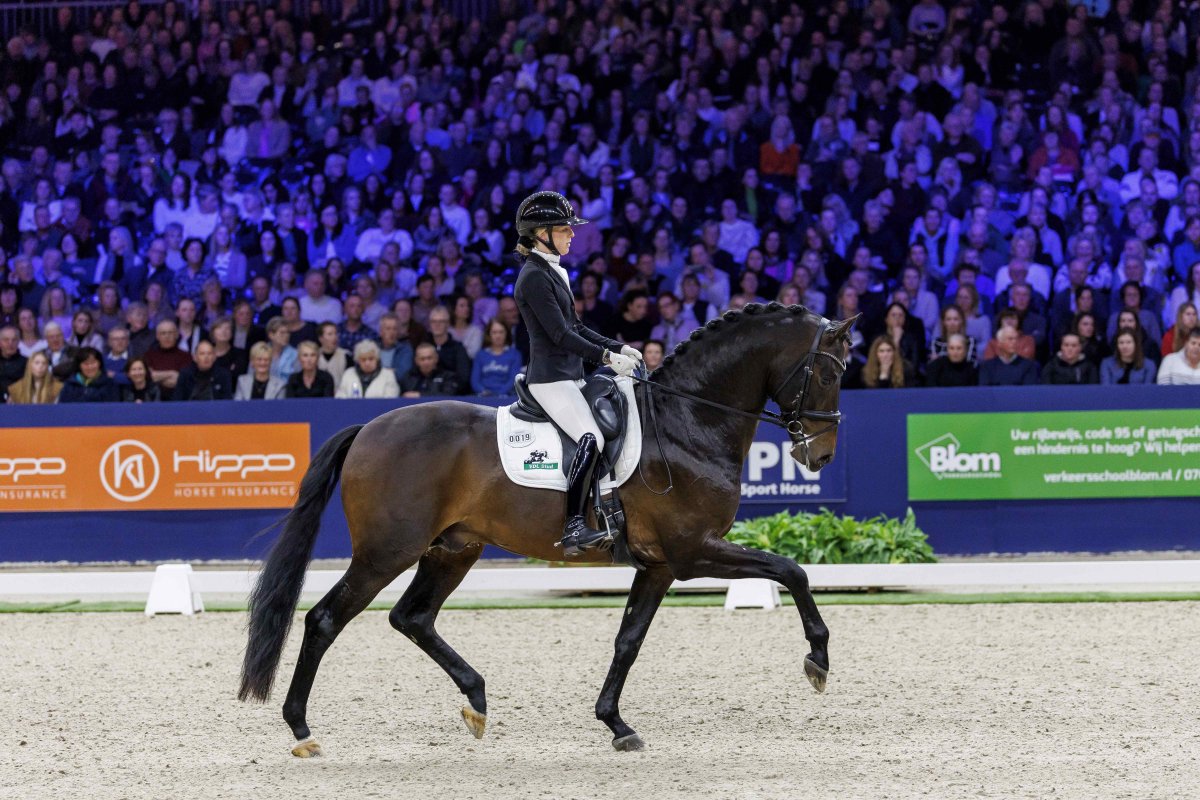 Hengstencompetitie
