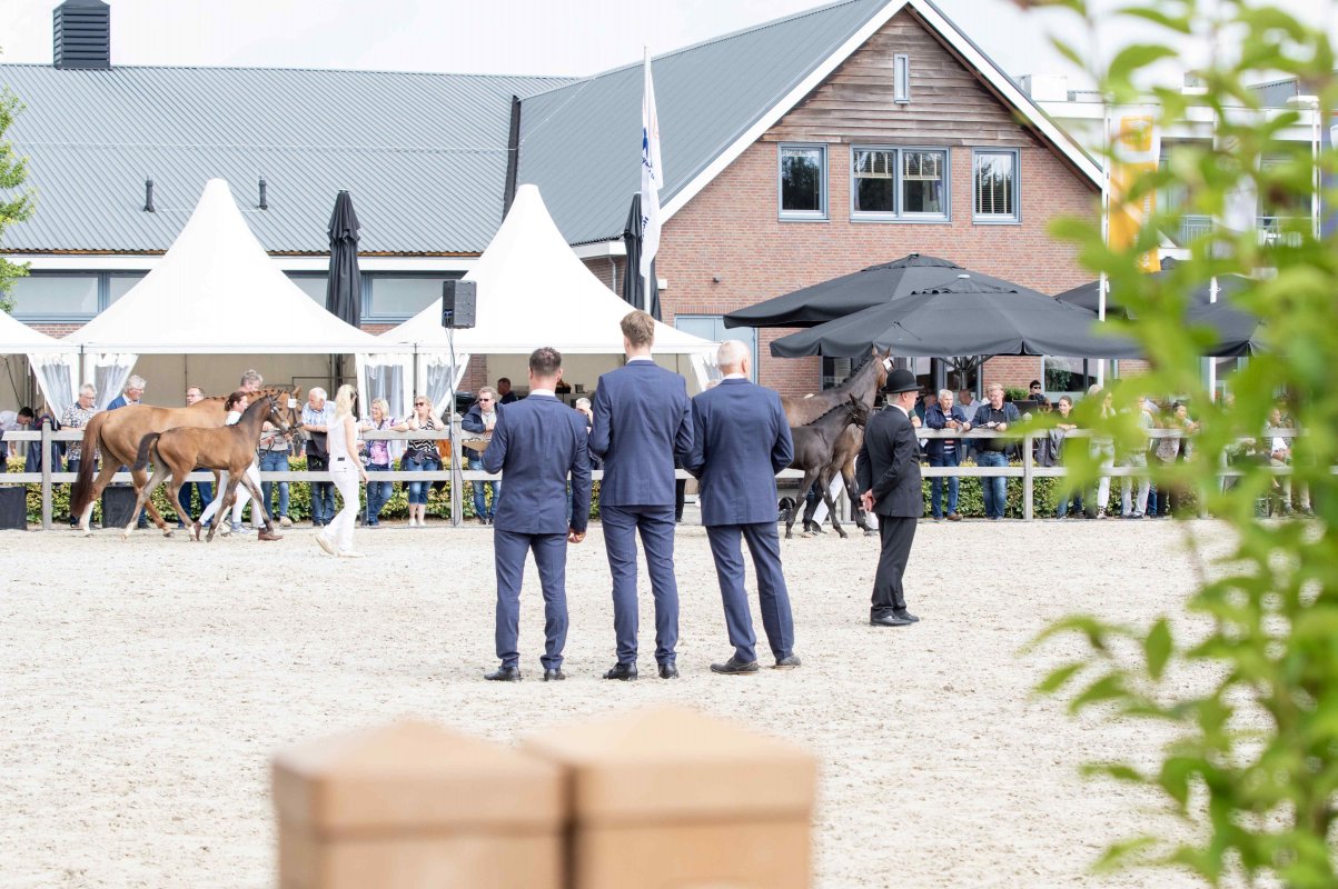 Nationale Veulenkeuring