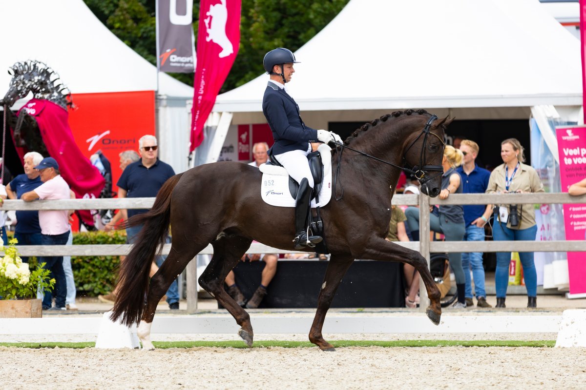 Dressage