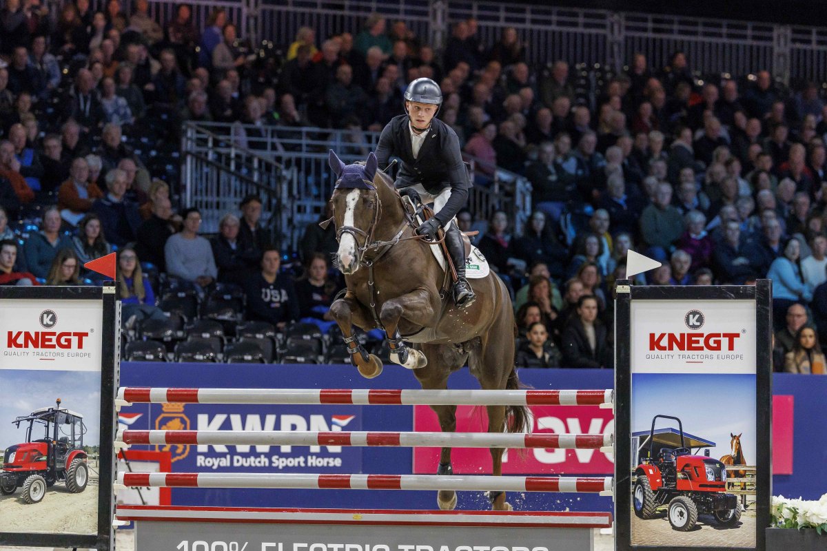 Hengstencompetitie