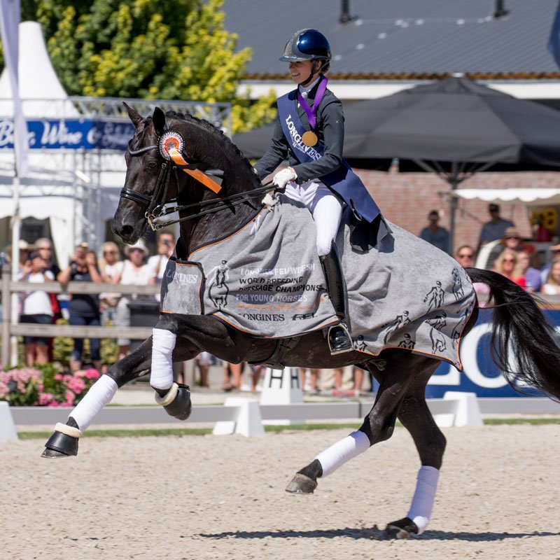 Van Olst Horses TV