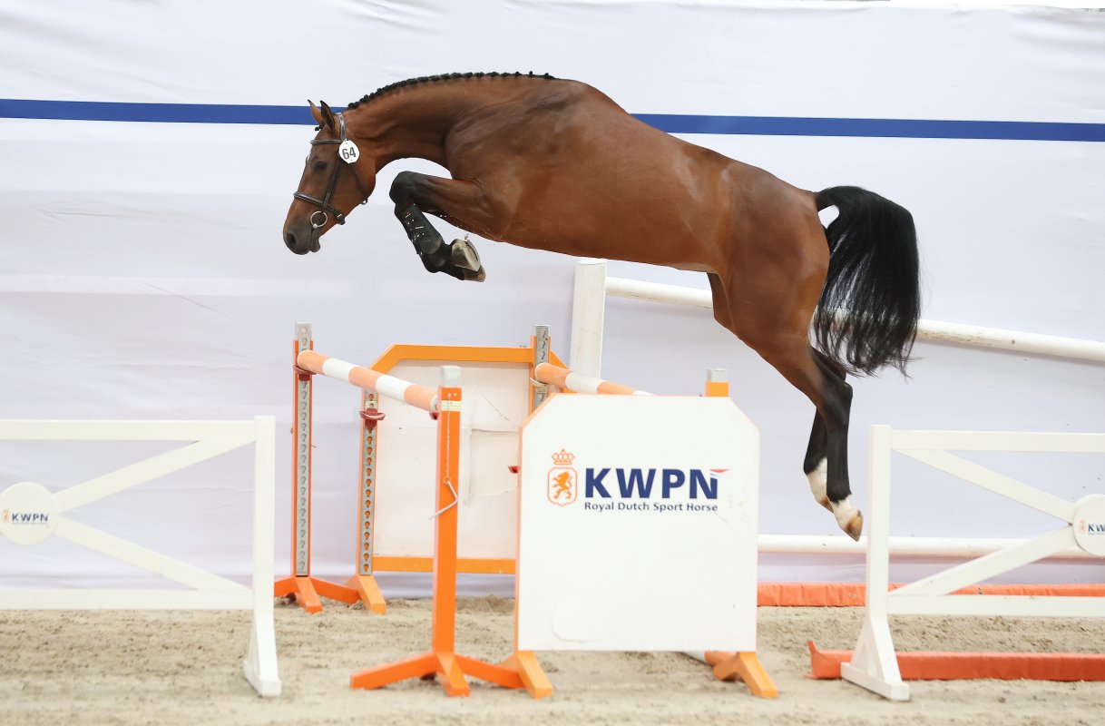 Nationale Merriekeuring