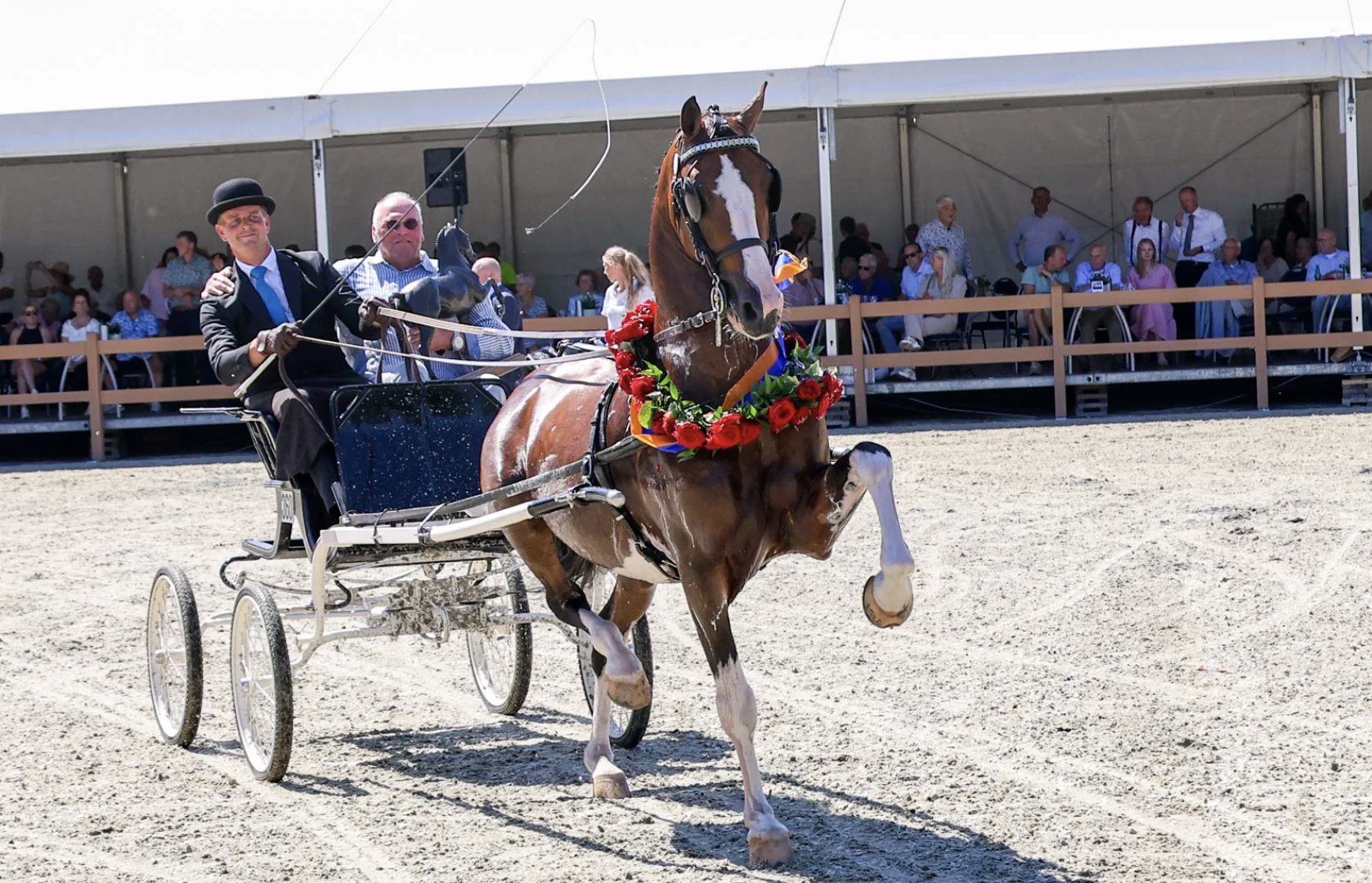 Nationale Tuigpaardendag 2026