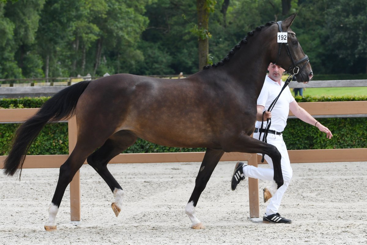 Nationale Merriekeuring