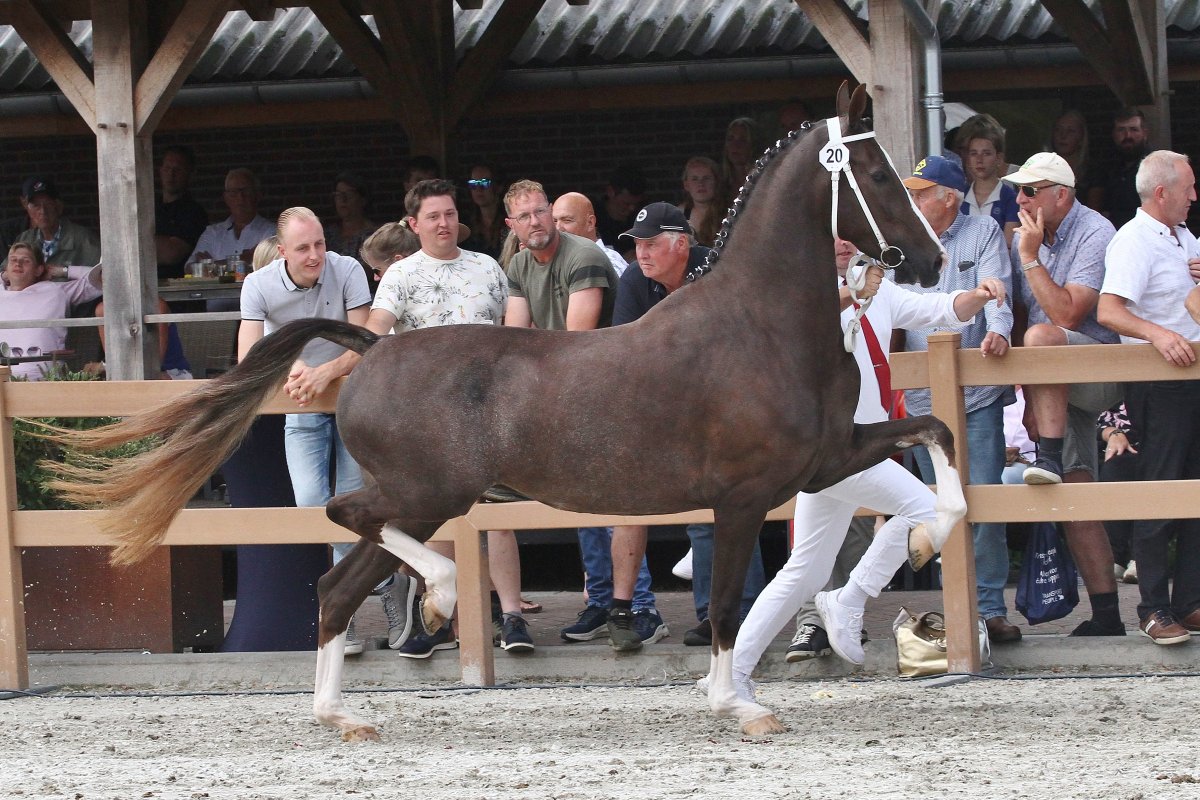 Nationale Merriekeuring